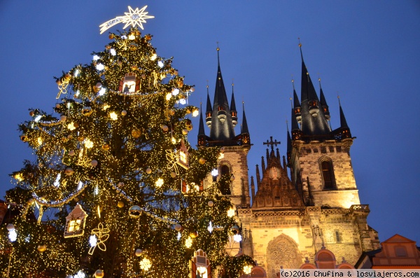 Navidad en Praga
Árbol de navidad gigante en la plaza de la ciudad vieja
