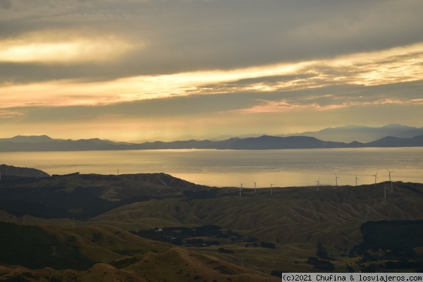 Isla sur desde la isla norte
Así de cerquita se ve la isla sur desde Wellington
