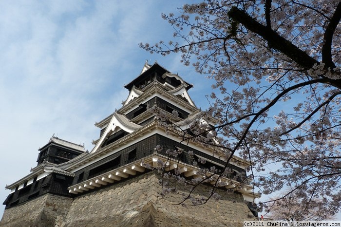 Opiniones Sakura 2024 en Japón y Corea: Castillo de Kumamoto
