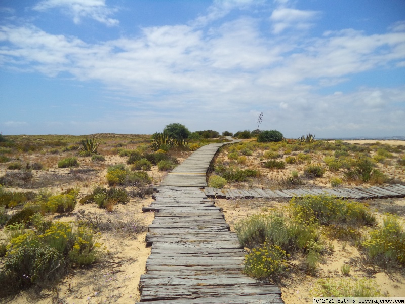 Faro - Ilha Deserta - Praia do Vale do Lobo - Loulé - Portugal: Algarve (Julio 2018) (4)