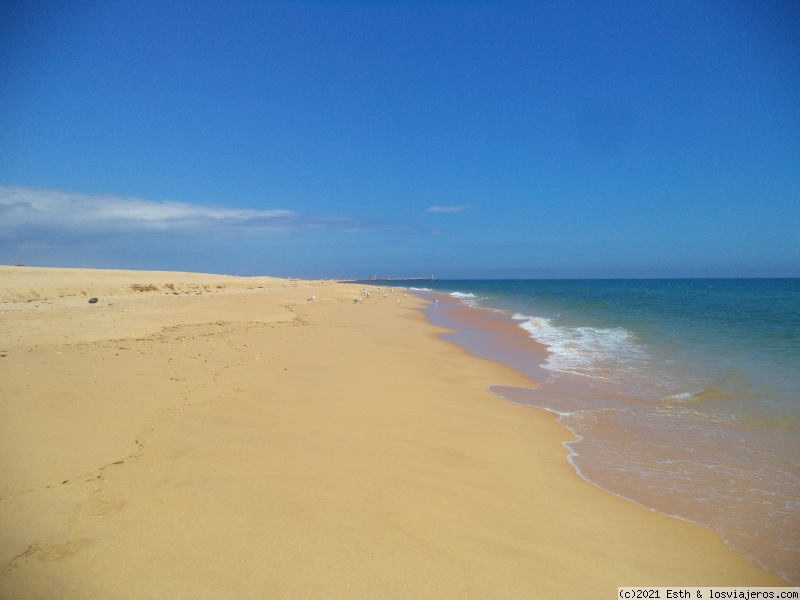 Faro - Ilha Deserta - Praia do Vale do Lobo - Loulé - Portugal: Algarve (Julio 2018) (5)