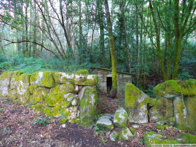 Salvaterra do Miño - As Neves - Castro de Troña - Galicia: Pontevedra interior y costa (Agosto 2020) (4)