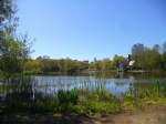 Harlem Meer Lake