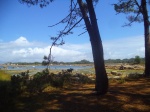 Isla de Arousa