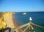 Mirador sobre Praia do Amado, con vistas a Praia dos Três Castelos