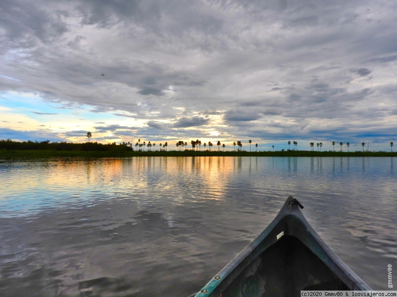 Opiniones PARAGUAY: Recuerdos del Pantanal