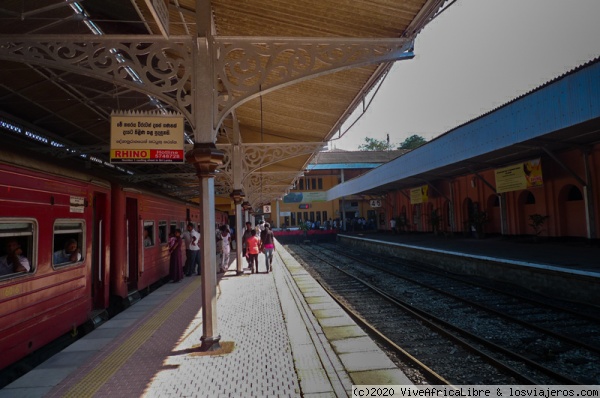 Estación de ferrocarril de
Fort Railway Station o Estación de ferrocarril de Colombo en Sri Lanka. Algunos de sus trenes son de estilo antiguo, con diseño colonial. Puedes tomar uno de estos trenes por la mañana bien temprano hasta la ciudad de Kandy a 130 Kms.
