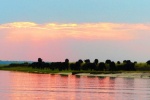 Bufaos en Chobe River
Bufalos, Chobe river. Botswana