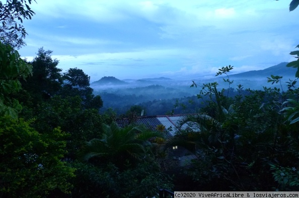 10 días en el Monasterio Budista de RockHill - Viaje a Sri Lanka: De Kandy a Dambulla y El Monasterio Budista de RockHill (4)