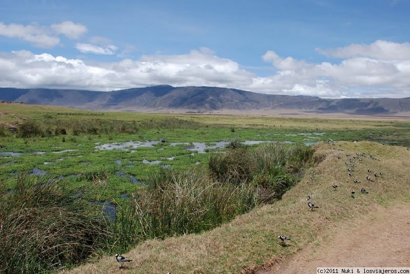 Foro de Ngorongoro en África del Este: Impresionantes paisajes