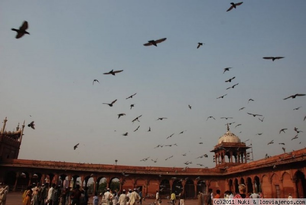 Mezquita Jama Masjid
Nueva Delhi
