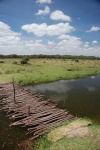 Cruzando el puente
Cruzando, Naivasha, Kenia, puente