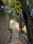 Entrada Cueva del Gato