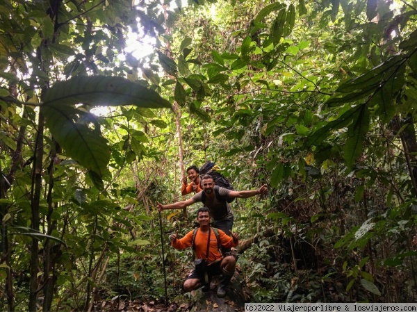 Ruta por Indonesia
Foto tomada en la jungla de Sumatra, exactamente en Ketambe. En busca de orangutanes en libertad.
