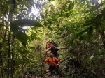 Ruta por Indonesia
orangutanes, sumatra, indonesia, ruta,