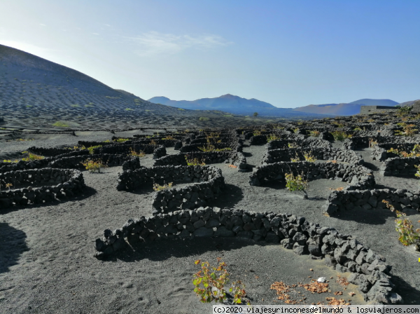 La Geria
La Geria - zona de Viñedos en Lanzarote
