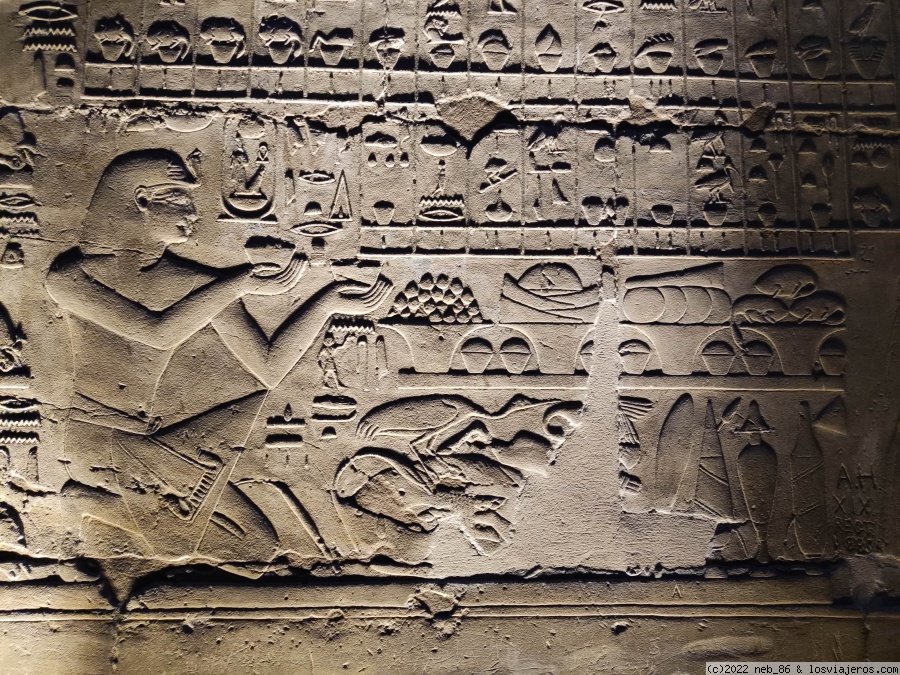 Día 3: Museo de Luxor y Templo de Luxor - Tebas (Luxor) en 10 días y en 100 puertas (6)