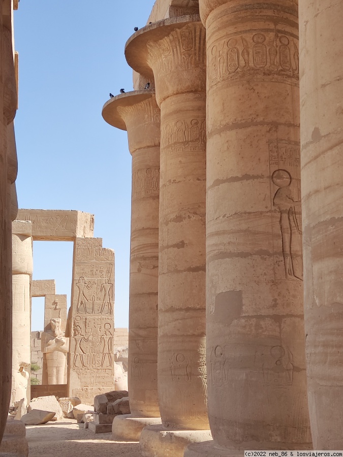 Día 7: recorriendo el Occidente - Tebas (Luxor) en 10 días y en 100 puertas (6)