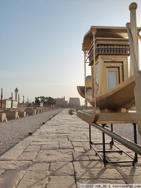 Avenida de esfinges con el templo de Luxor al fondo
Avenida de esfinges con el templo de Luxor al fondo
