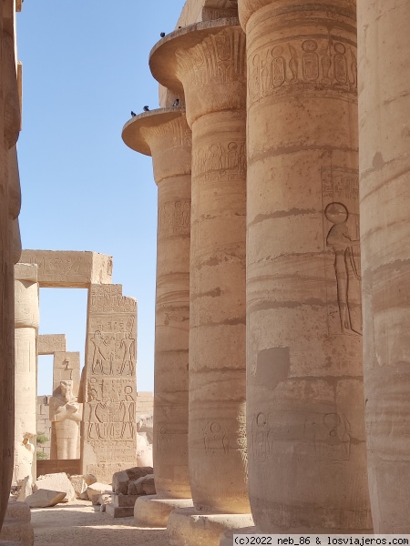 Ramesseum
Ramesseum
