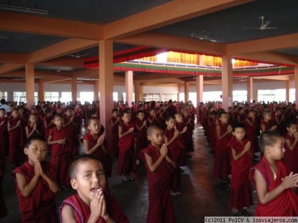 Niños tibetanos refugiados en India
Niños tibetanos refugiados en India
