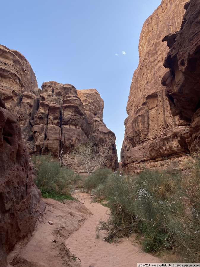 Jordania e Israel - 12 días (en construcción) - Blogs de Jordania - Día 6: Wadi Rum (3)