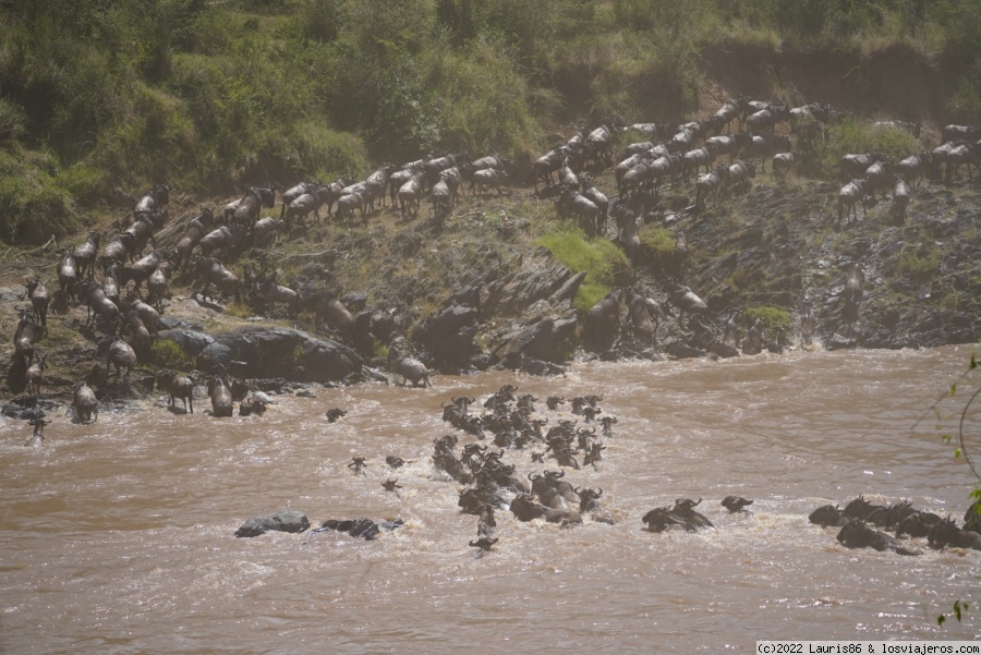 Introducción y toma de decisiones - Viaje al centro de la sabana africana-Masai Mara, Kenya (1)