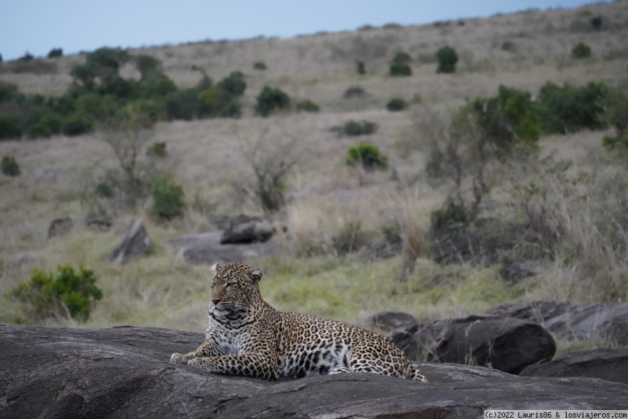 Viaje al centro de la sabana africana-Masai Mara, Kenya - Blogs de Kenia - Día 2; Primer encuentro con el Río Mara (6)