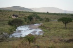 Tanzania
Tanzania