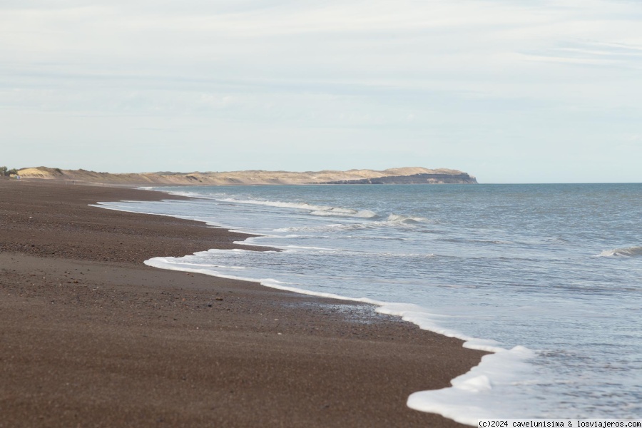 Costa Patagónica Argentina - Blogs de Argentina - Ruta del Mar Patagónico (1)