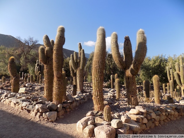 Tilcara - San Salvador de Jujuy - Norte Argentino - Un viaje por Latinoamérica (2)