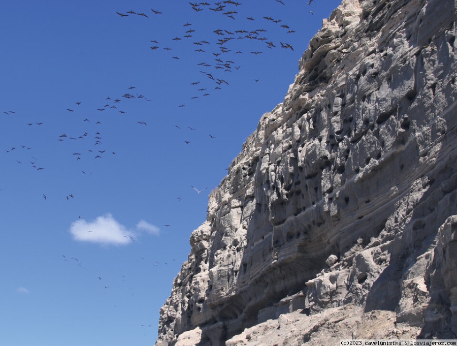 Costa Patagónica Argentina - Blogs de Argentina - BALNEARIO EL CONDOR - RIO NEGRO (2)