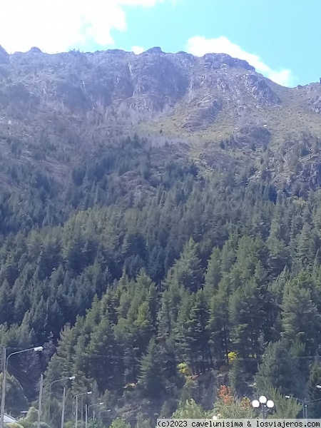 Bosque patagónico
Olores y sensaciones placenteras
