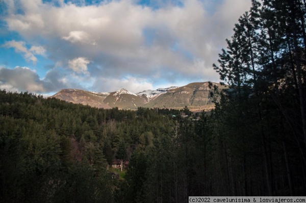 Bosques y montañas
Vegetación exhuberante en el sur chileno
