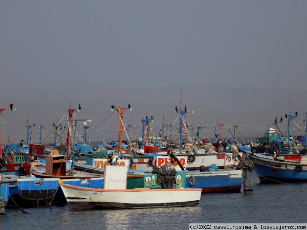 Bahía de Paracas
Los barcos de colores
