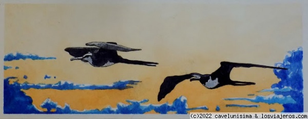 Aves de Paracas - Colombia
Ecosistema
