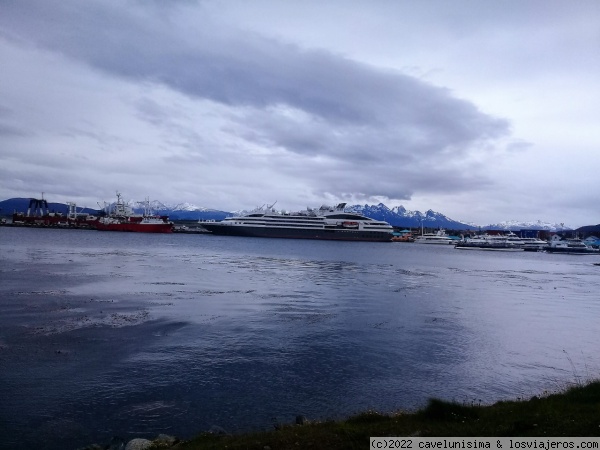 Cruceros
Camino a la Antartida
