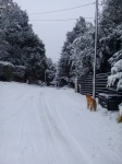 Camino al Cerro Chapelco