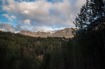 Bosques y montañas
Bosques, Vegetación, montañas, exhuberante