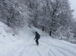 Cerro Bayo
Cerro, Bayo, Entrada, bosque