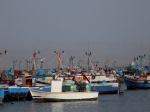 Bahía de Paracas