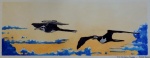 Aves de Paracas - Colombia