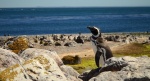 Otra vez el mar
Otra, Ambiente, oceánico