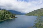 Lago Falkner
Lago, Falkner, Montañas, especies, autóctonas