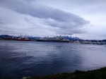 Cruceros
Cruceros, Camino, Antartida
