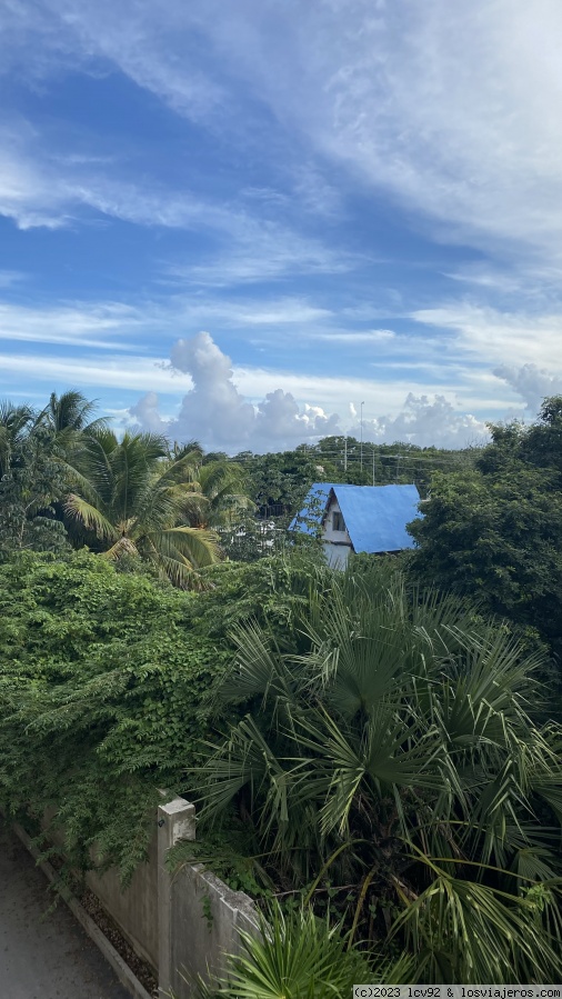 Península de Yucatán - Desde Cancún hasta Holbox - Blogs de Mexico - Día 3 - Comienza el road trip. Llegada a Tulum (6)