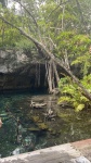 Gran Cenote en Tulum