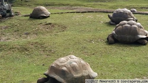 Mauricio: Un paraiso terrenal