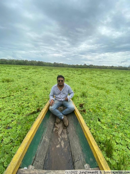 Naturaleza acuatica
Navegando selva adentro me encontre en epoca de creciente del rio, un area verde, el rio estaba cubierto de plantas acuaticas. impresionante.
