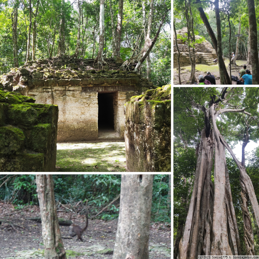 Lunes 8  a jueves 11 de agosto, de ruta por los diferentes sitios arqueológicos - Guatemala 25 días (2)